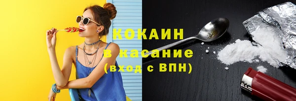 соль ск Бронницы