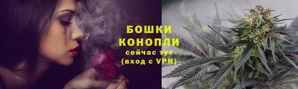 соль ск Бронницы